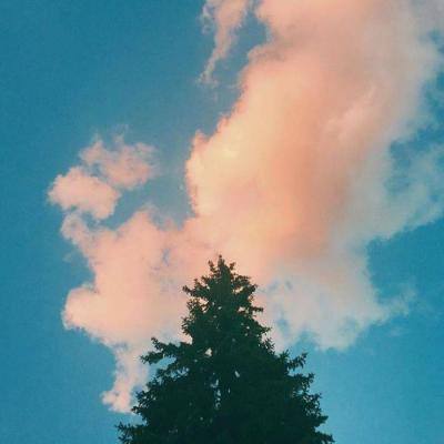 果盘幻境缘手游下载