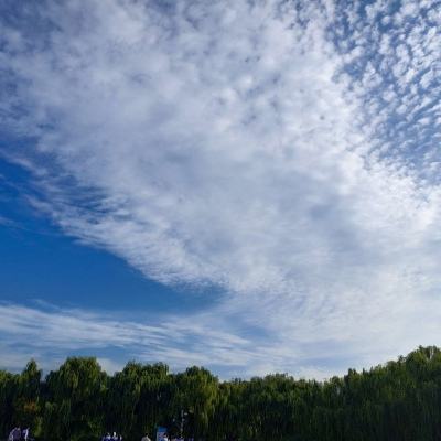 彩虹岛w中文破解版下载